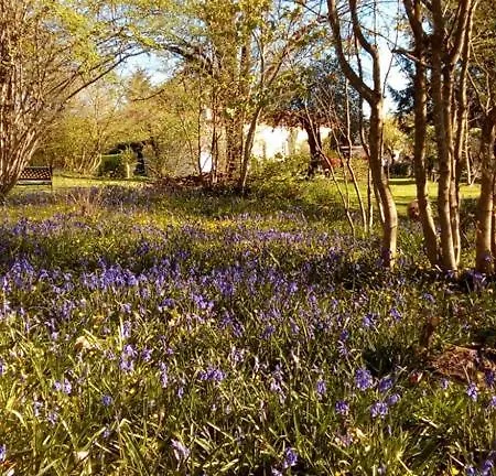 别墅 La Maison Verger *