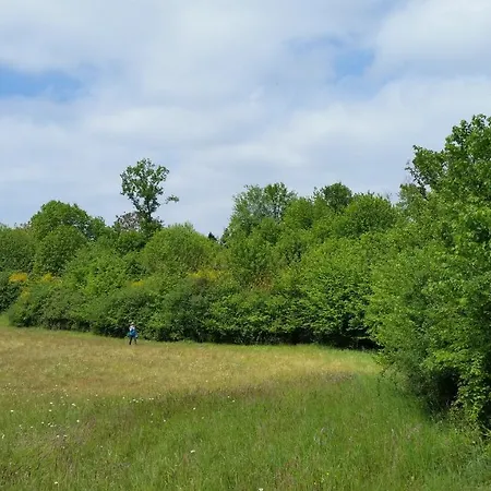 别墅 La Maison Verger Limalonges