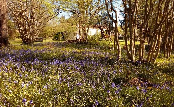 Villa La Maison Verger *